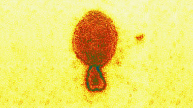 six-things-you-should-know-about-the-new-virus-found-in-china