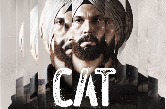 CAT OTT release date