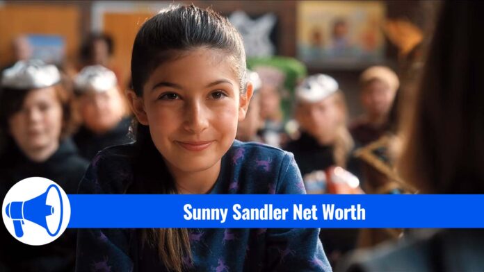 Sunny Sandler Net Worth